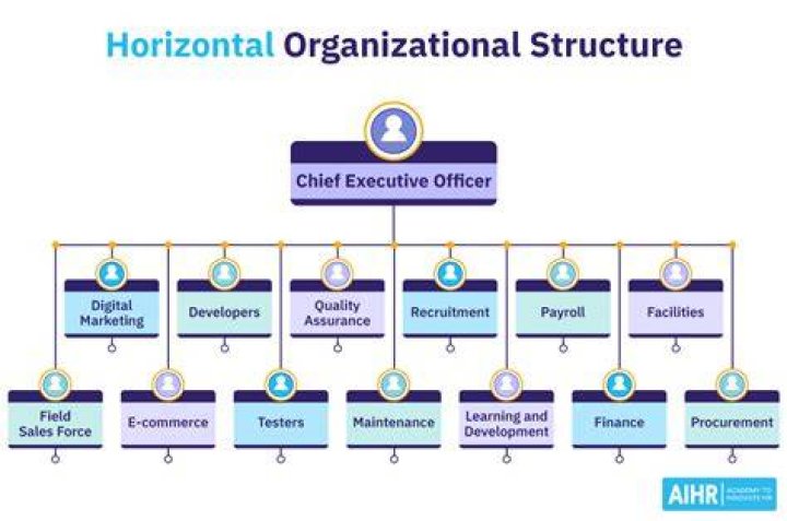 What is an example of a horizontal company?