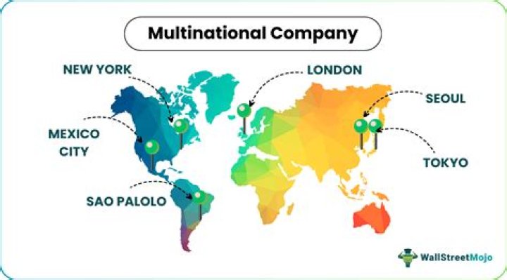 What is an example of a multinational company?