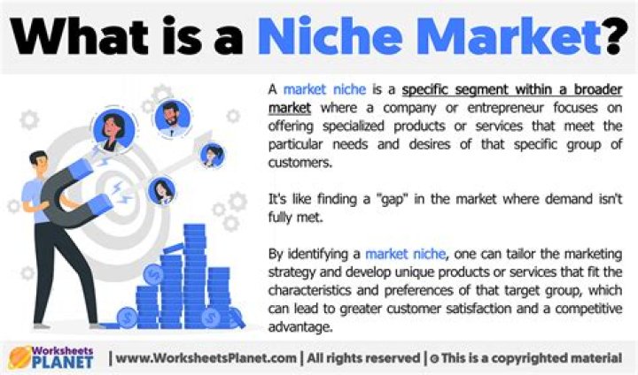 What is an example of a niche business?