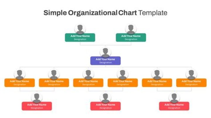 What is an example of a simple organizational structure?