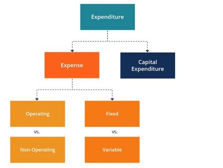What is an example of current expenditure?