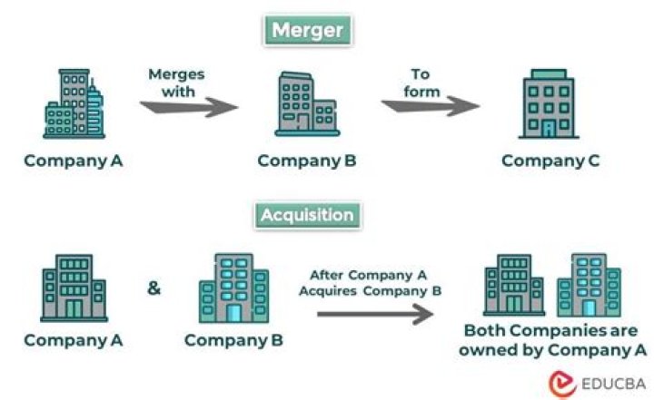 What is an example of mergers?