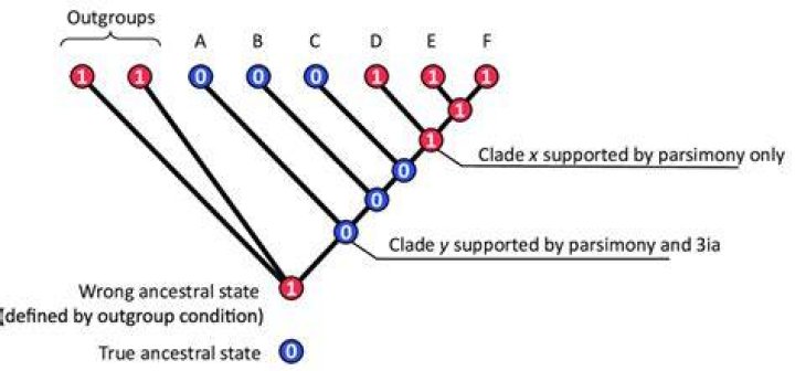 What is an example of parsimony?
