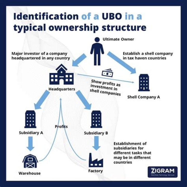 What is an IBO in business?