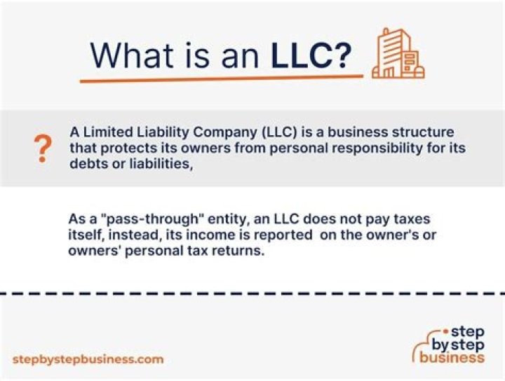 What is an LLC good for?