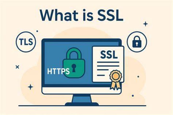What is an SE stand for?