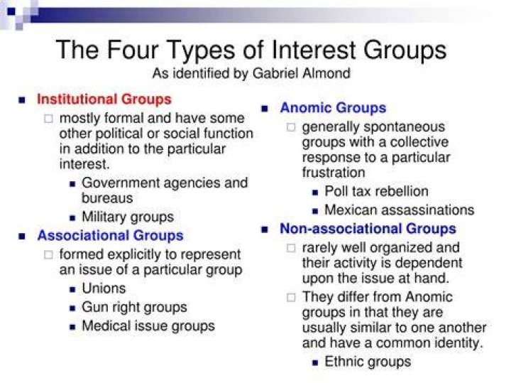 What is associational interest group?