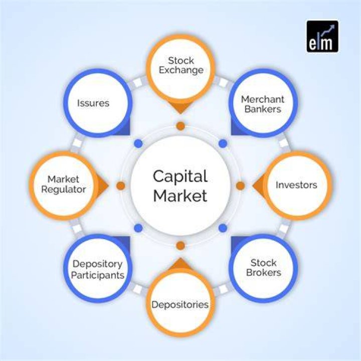 What is Bear in capital market?