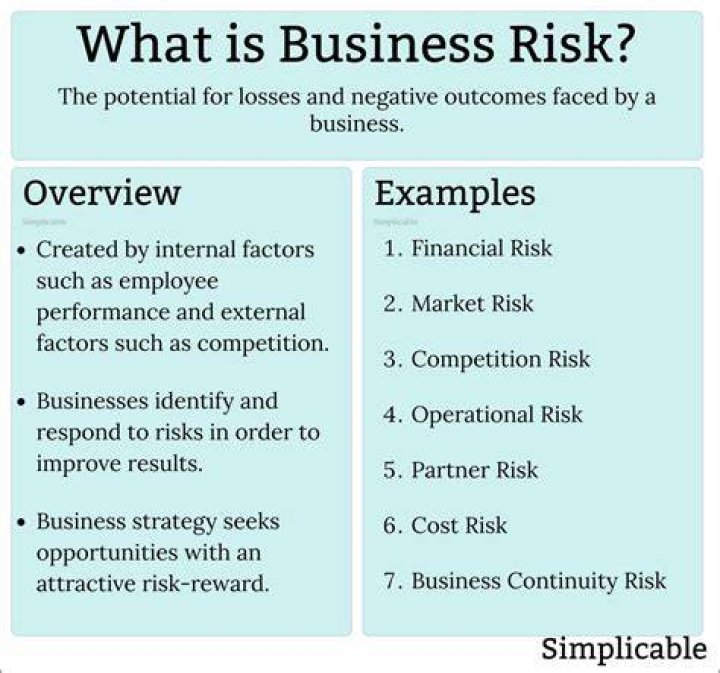 What is business risk and explain the causes of business risk?