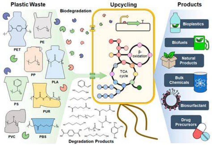 What is catalytic depolymerization?