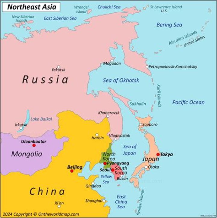 What is considered Northeast Asian?