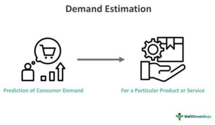 What is demand estimation example?