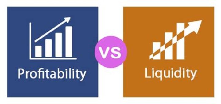 What is difference between profitability and liquidity?