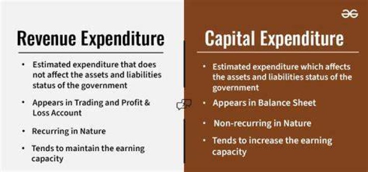 What is difference between revenue and expenditure?