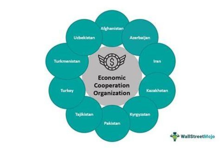 What is economic cooperation?