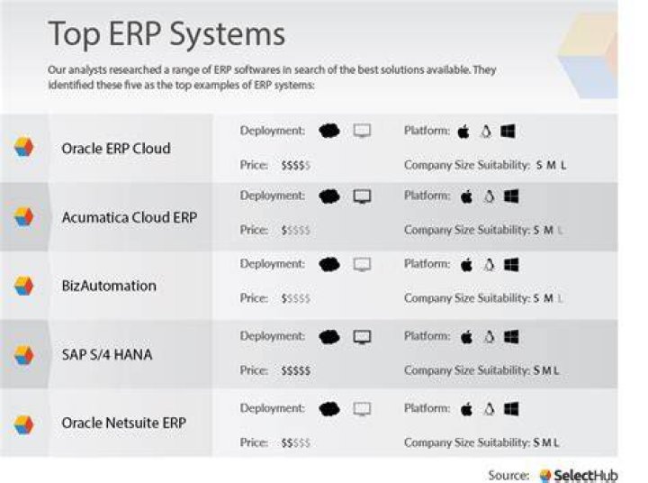 What is ERP software examples?