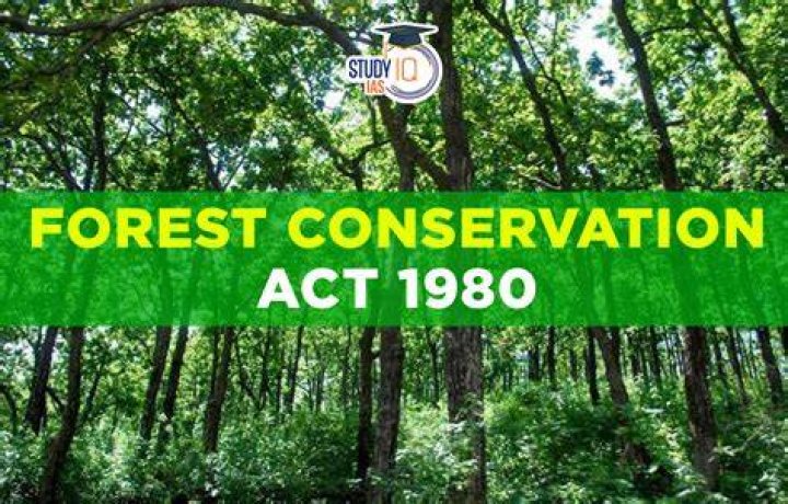 What is forest conservation What are its objectives?