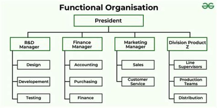 What is functional organization structure?