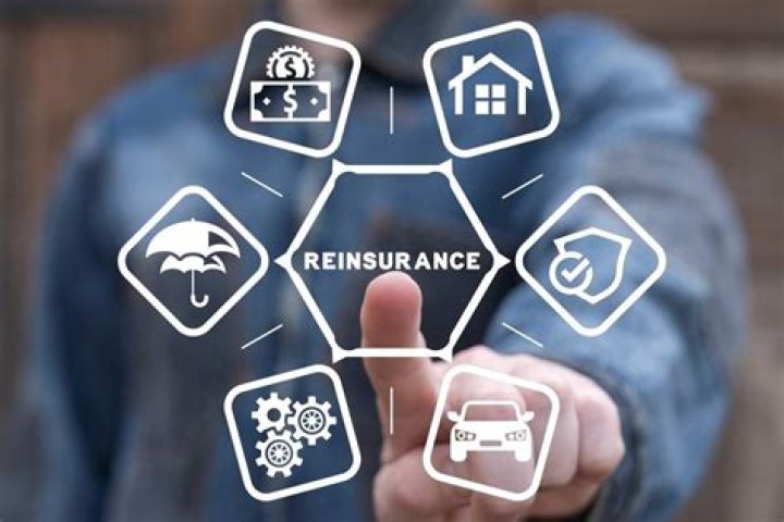 What is government reinsurance?