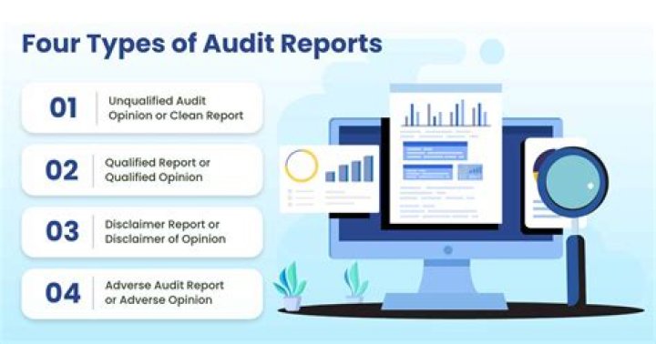 What is included in an audit opinion?