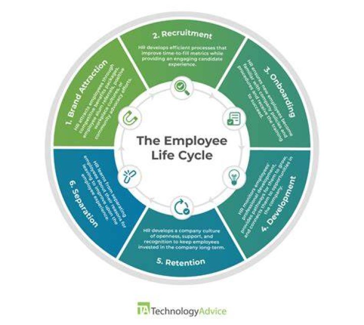 What is life cycle in operations management?