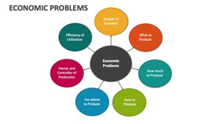 What is meant by economizing resources?