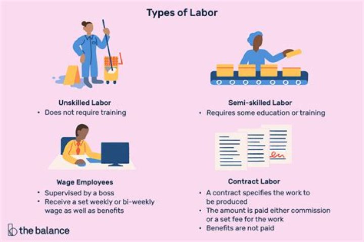 What is meant by labour in economics?