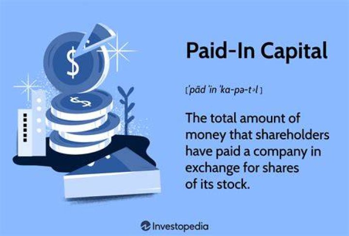 What is meant by paid up capital?