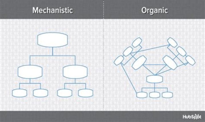 What is mechanistic and organic Organisation?