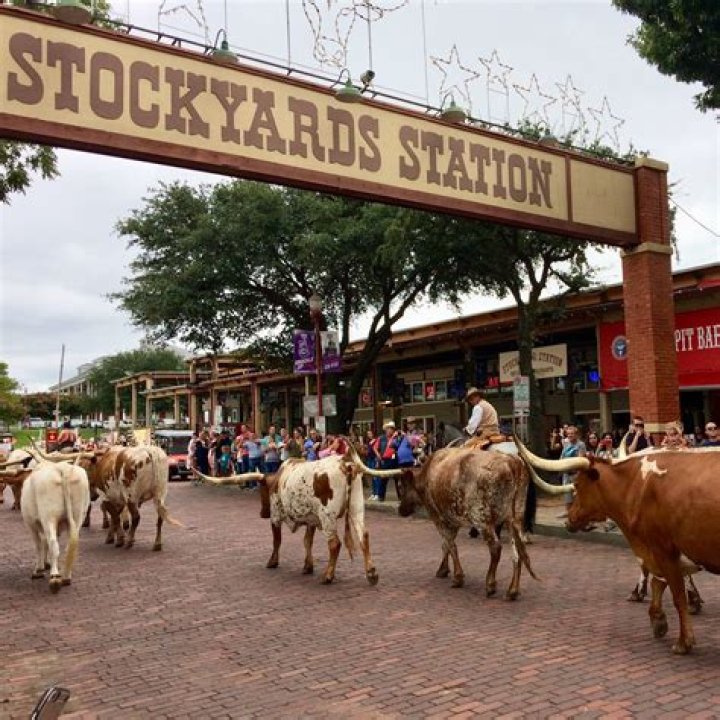 What is Metropolitan stock worth?