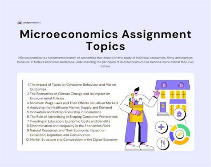 What is microeconomics assignment?