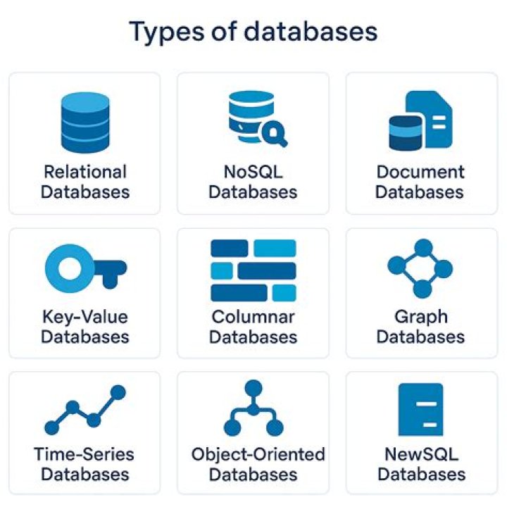 What is part of a database that holds one type of information?