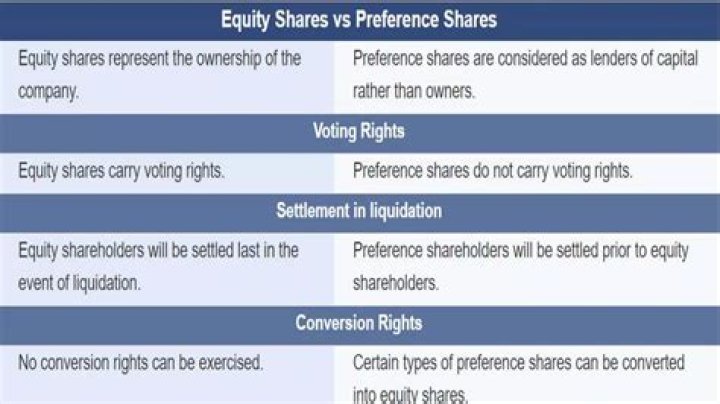 What is preference share capital with example?