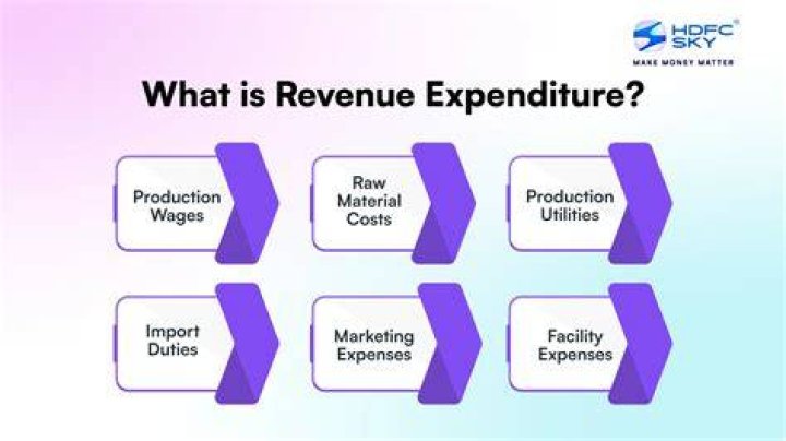What is revenue expenditure and examples?