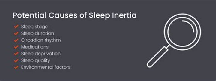 What is Sleep Country known for?
