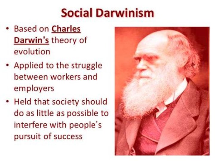 What is Social Darwinism in business?