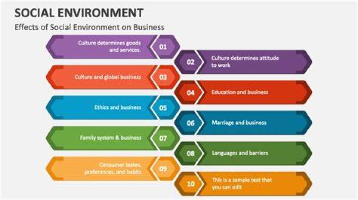 What is social environment with example?