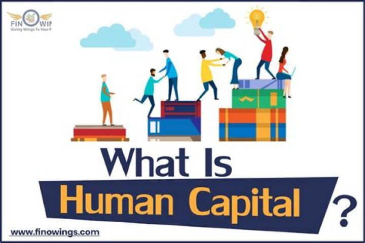 What is social human capital?