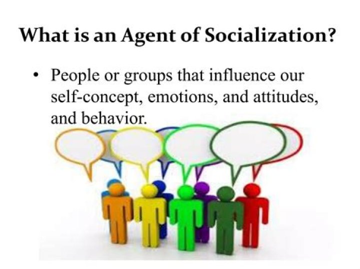 What is socialization group?
