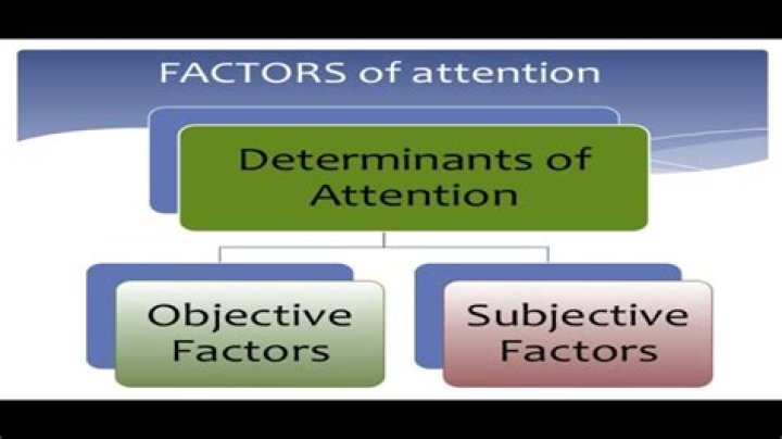 What is subjective factor?