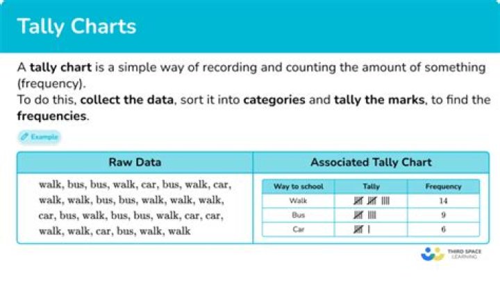What is Tally and its uses?