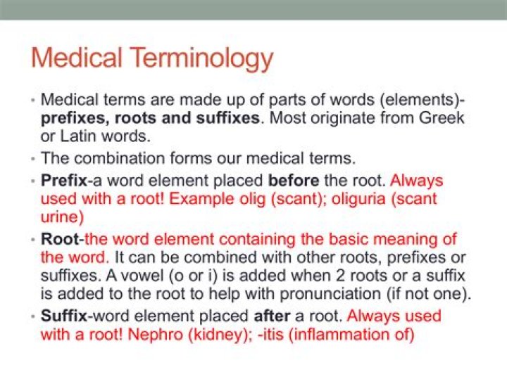 What is terminology example?