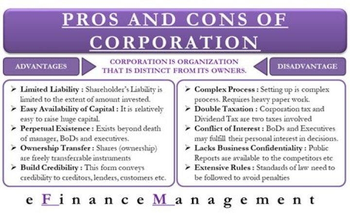 What is the advantages and disadvantages of corporation?