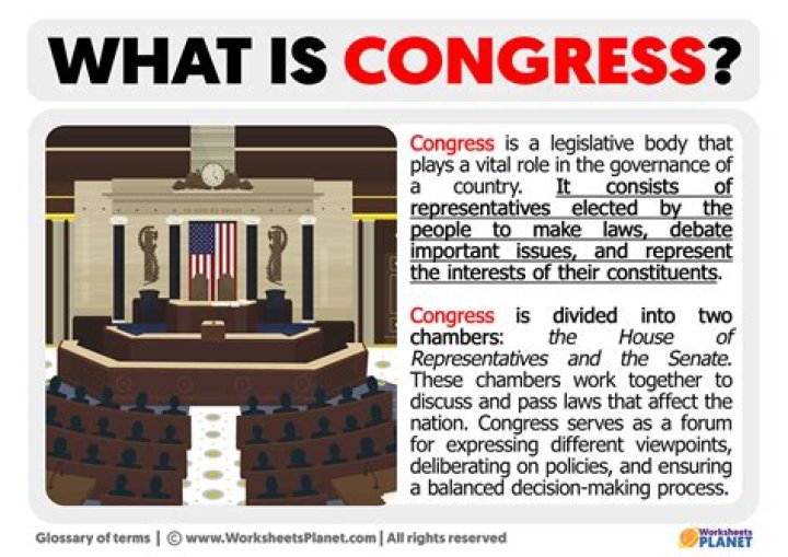 What is the basic role of Congress?