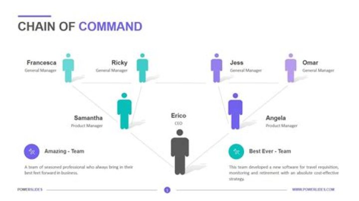 What is the chain of command in a business?