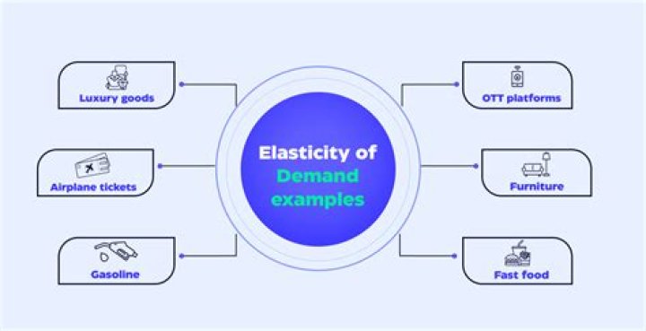 What is the concept of elasticity?