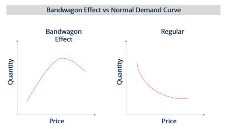 What is the difference between bandwagon effect and snob effect?