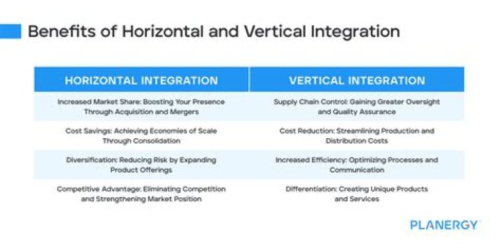 What is the difference between horizontal and vertical business?