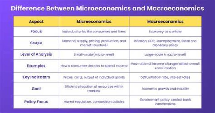 What is the difference between macroeconomics and micro?