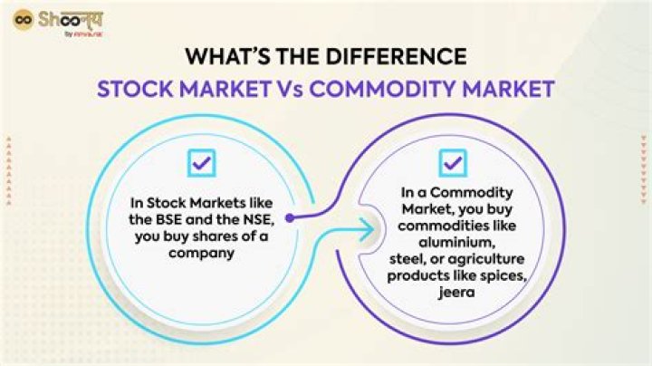 What is the difference between stock and commodity?